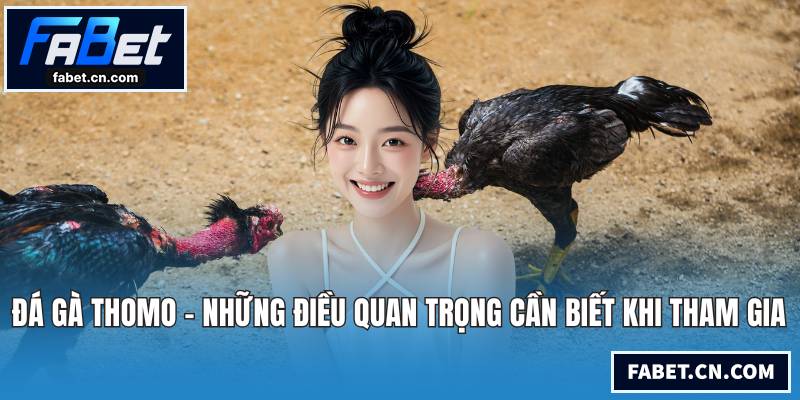 Đá gà Thomo