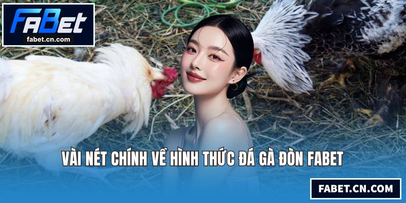 Vài nét chính về hình thức đá gà đòn FABET