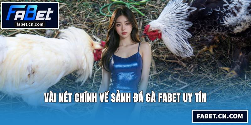 Vài nét chính về sảnh đá gà FABET uy tín